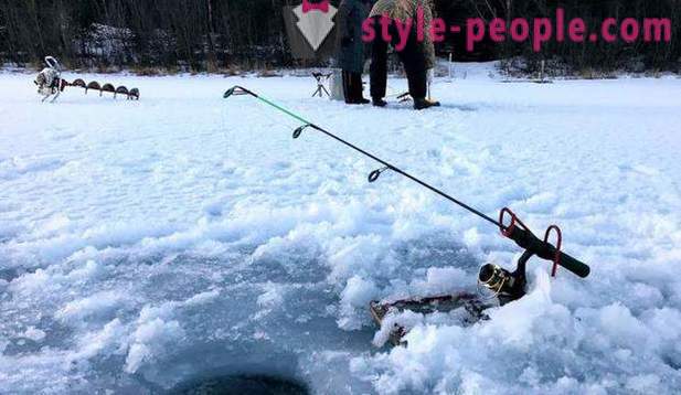 Jagen en vissen in de regio Perm: vooral vissen, types van jacht en visserij