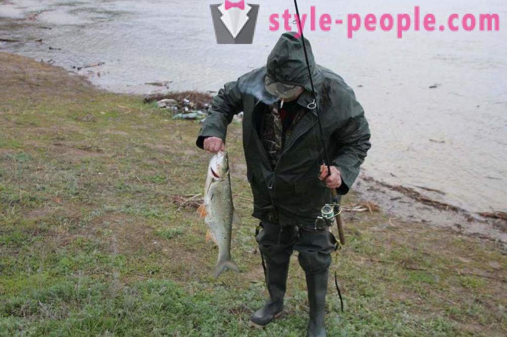 Vissen in Saratov aan de Wolga: foto's en beoordelingen