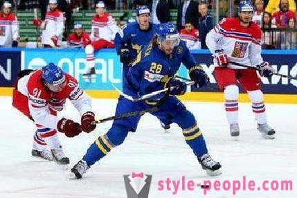 Tsjechische hockeyspeler Martin Erat: biografie en carrière in de sport