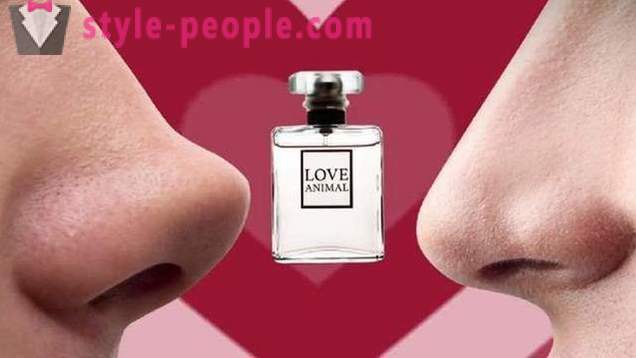 Parfum met feromonen: reviews, mythe of werkelijkheid, zoals de wet