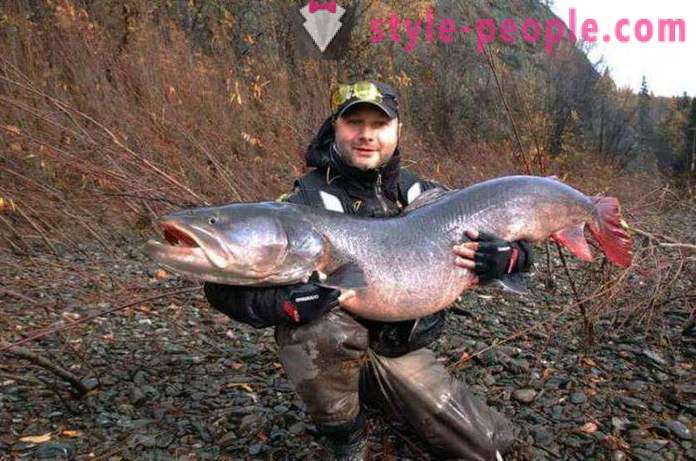 Vissen in Khakassia Tips hengelaars