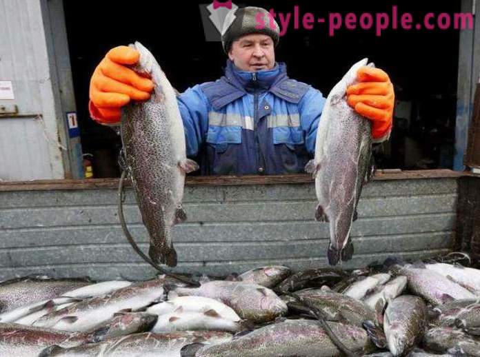 Vissen in Khakassia Tips hengelaars