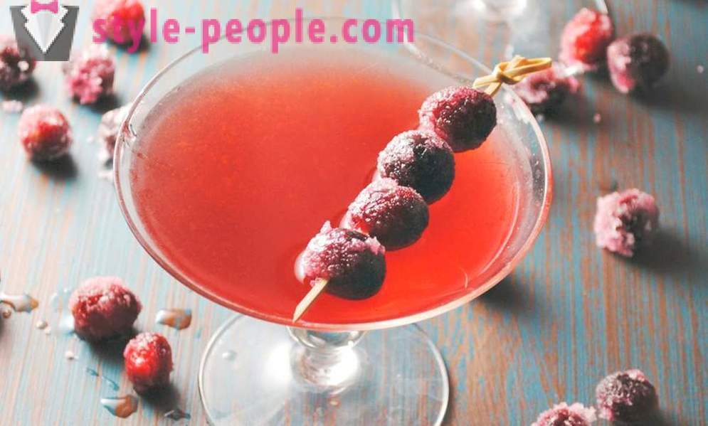 5 fruit en alcoholische cocktails