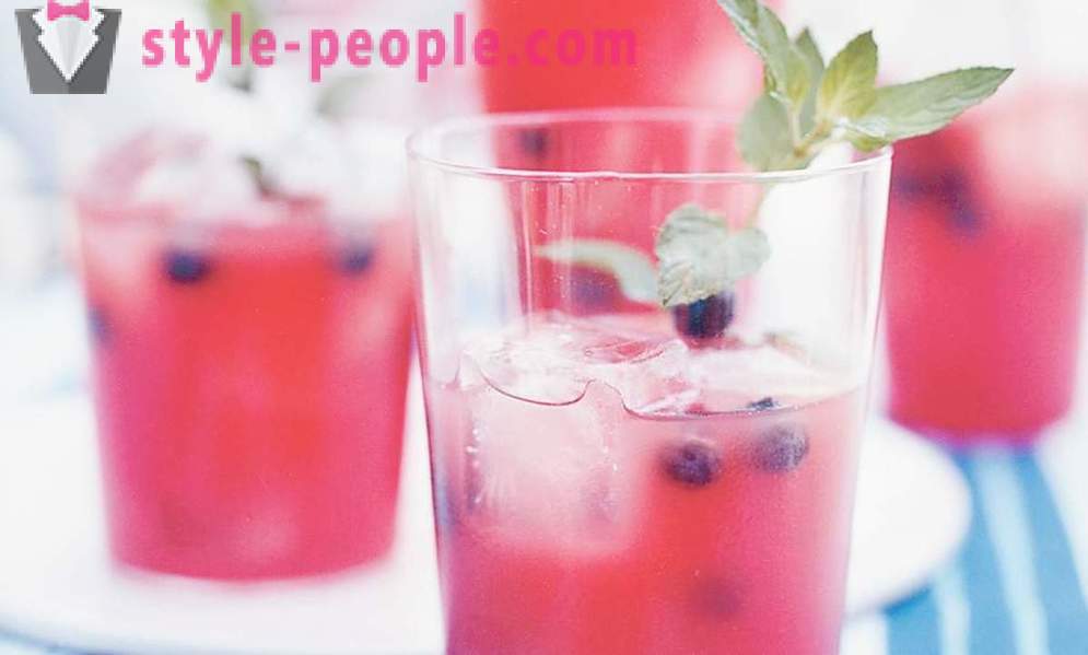 5 fruit en alcoholische cocktails