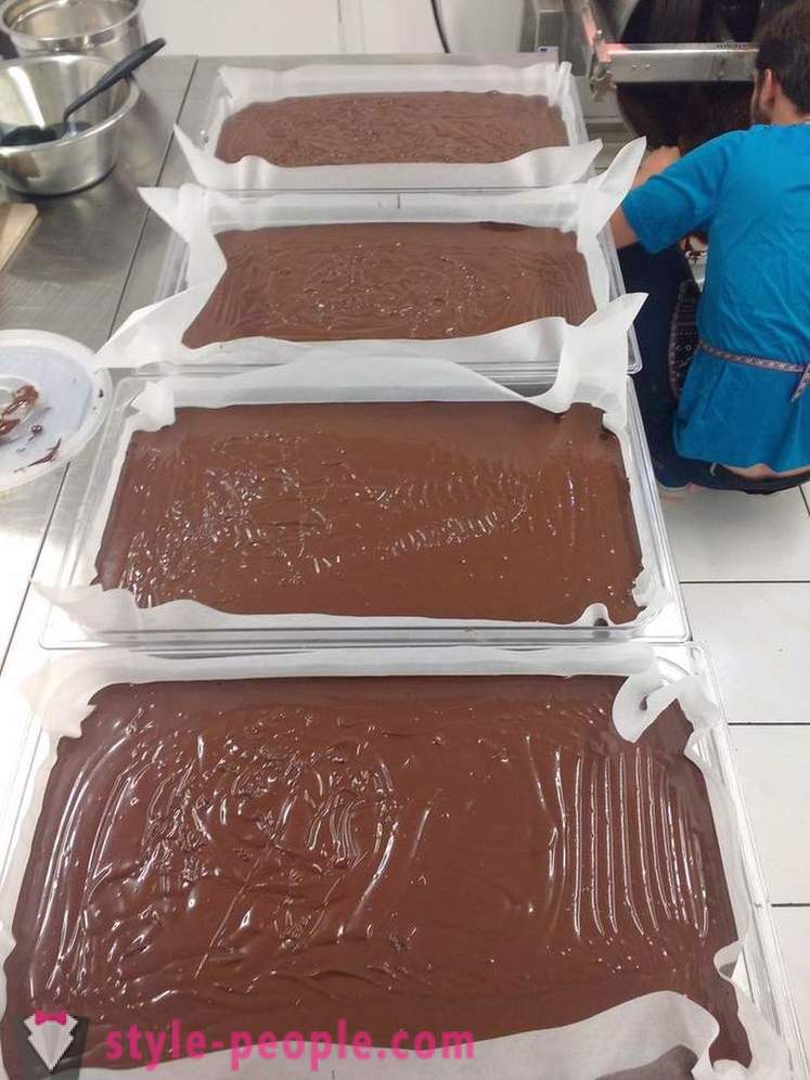 Het proces van de teelt en de productie van chocolade
