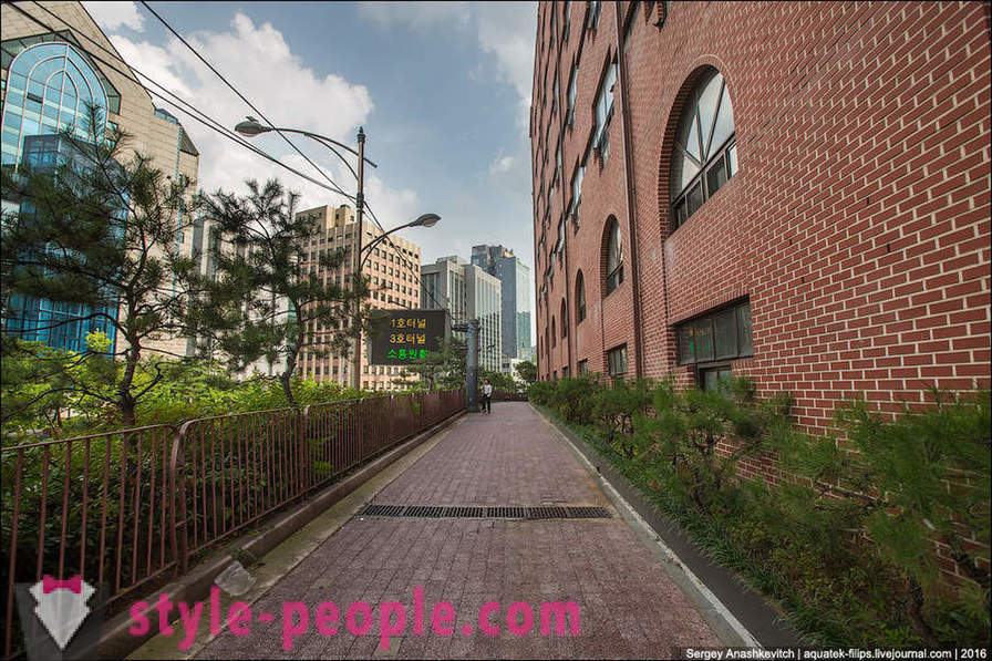 Hoe de betonnen jungle in Seoul verlevendigen