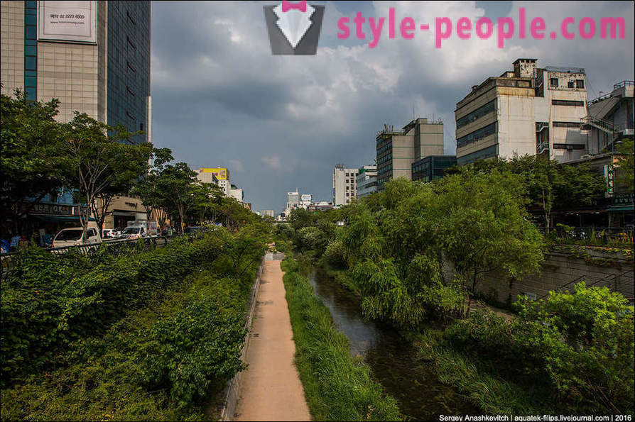 Hoe de betonnen jungle in Seoul verlevendigen