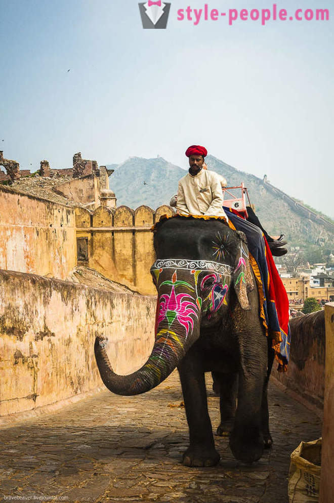 Reizen naar Jaipur Indian