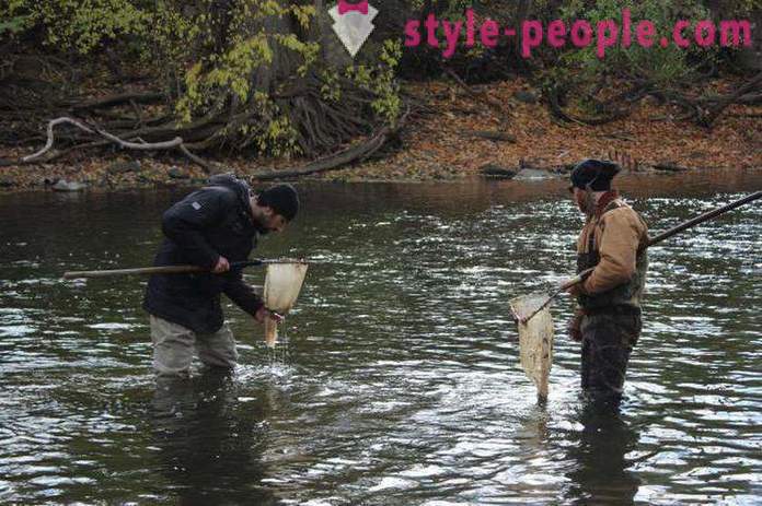 Bij het vangen rivierkreeft op rakolovku? Wanneer is het beter om rivierkreeft handen te vangen? Wanneer u rivierkreeft kunt vangen in Rusland?