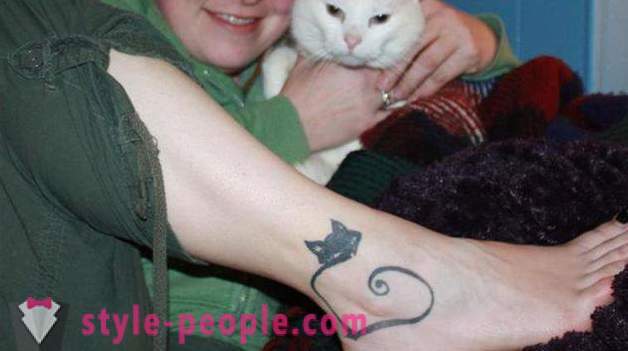 De tatoeage op zijn been van de kat: een foto, een waarde