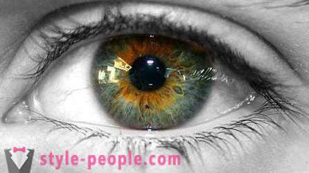Swamp oogkleur. Wat bepaalt de kleur van het menselijk oog?