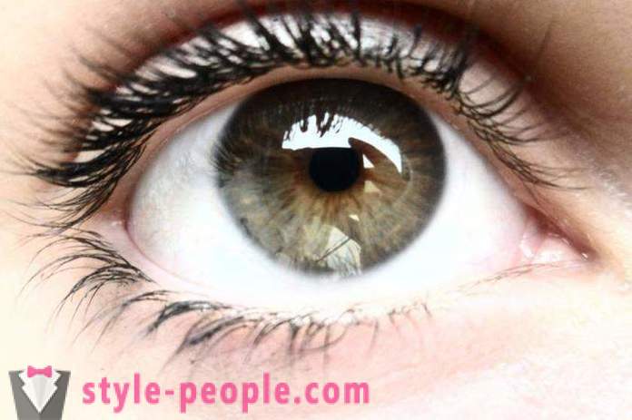 Swamp oogkleur. Wat bepaalt de kleur van het menselijk oog?