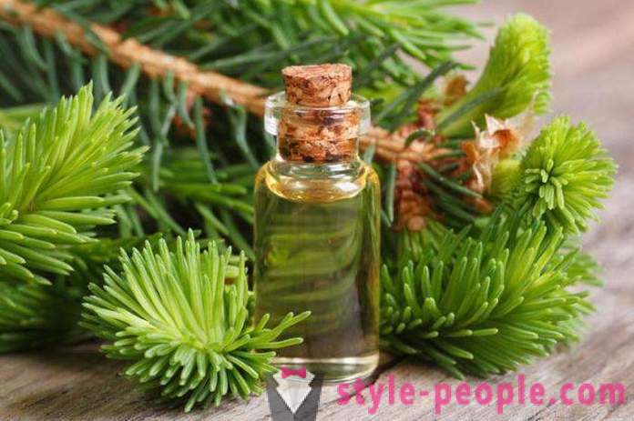 Cedar olie: toepassing, nuttige eigenschappen