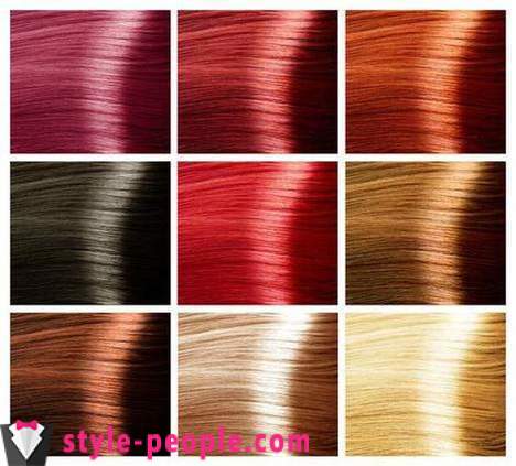 Het palet van haarkleuren 