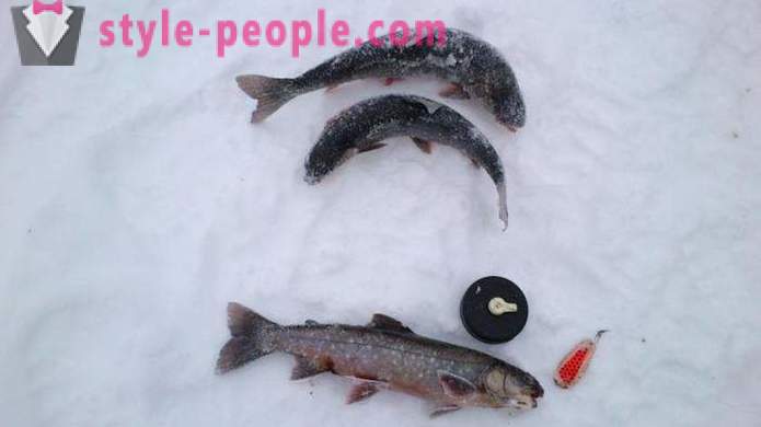 Fishers op: forel vissen in de winter