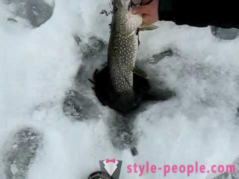 Pike vissen op zherlitsy winter. Snoek vissen in de winter trolling