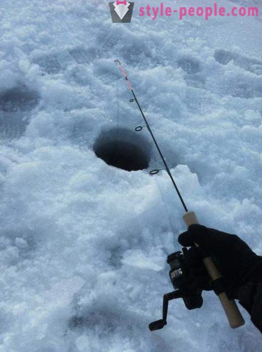 Burbot vissen in de winter op zherlitsy. Het vangen van kwabaal in de winter trolling