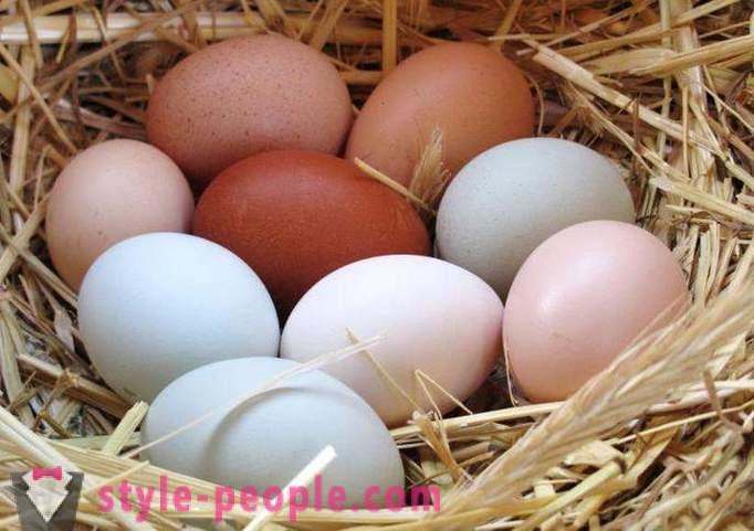 Egg dieet: de beschrijving, voor- en nadelen